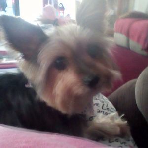 Meet your Posher, Carol